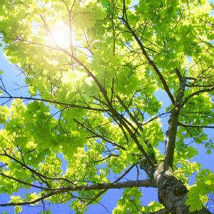 台湾性做爰伦理最新章节
